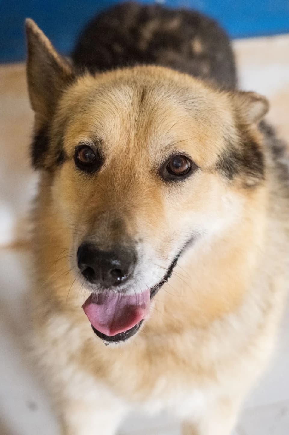 Zeus
