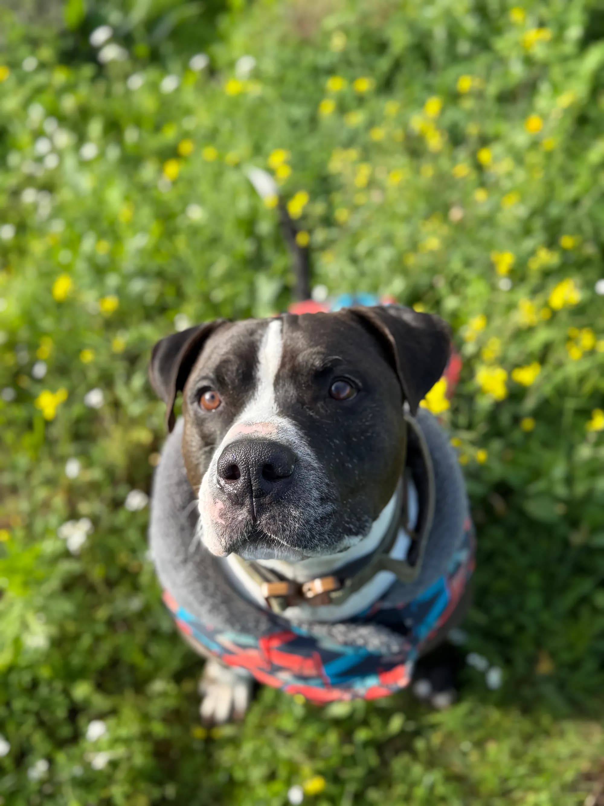 Axel 🍒
